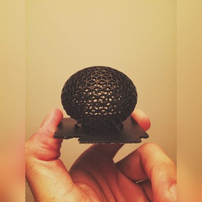 IMG_3960.JPG (320.13 KiB) Viewed 39350 times IMG_3960.JPG