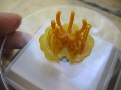 primer1.jpg (377.42 KiB) Viewed 45206 times primer1.jpg