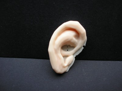 ear.JPG