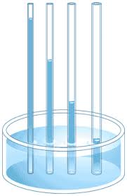 Capillary action.jpg